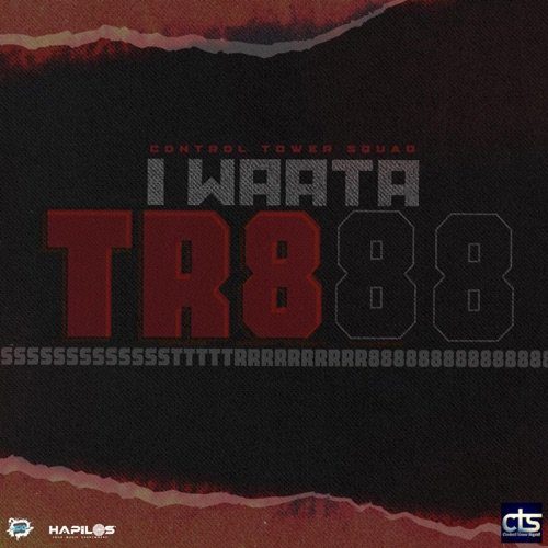 Iwaata Tr888
