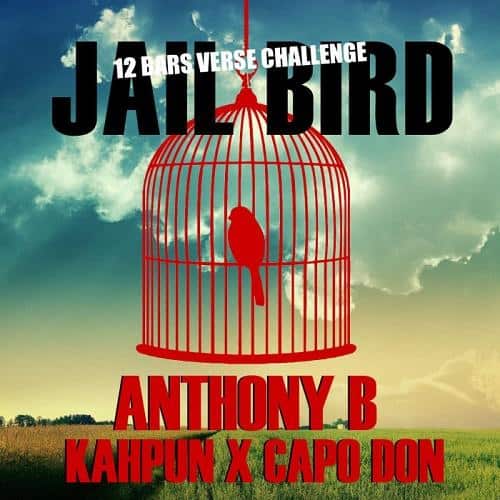 jailbird riddim - ineffable
