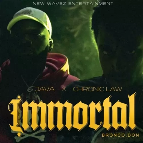 java ft. chronic law - immortal