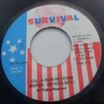 Jeanie Riddim – Survival