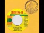 Johnny Too Bad Riddim – 2006 – Digital B