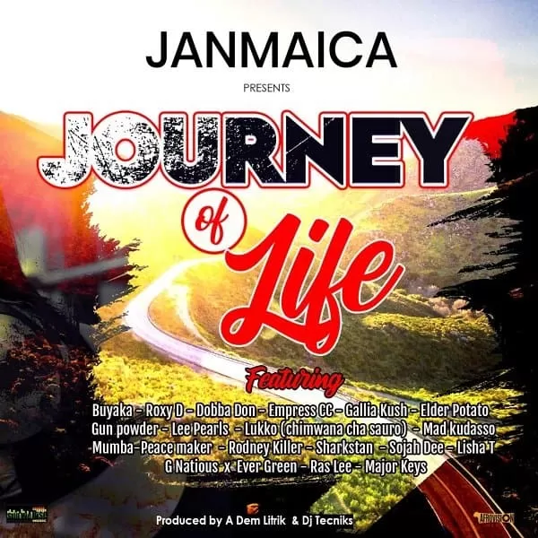 journey of life riddim - dem litrik / dj tecniks
