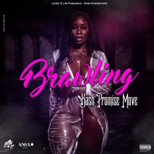 kash promise move - brawling