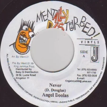 kashmir riddim - mentally disturbed