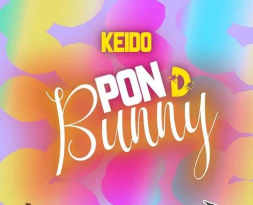 Keido Pon D Bunny