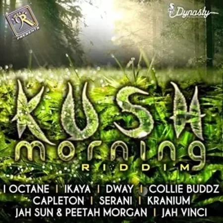 kush morning riddim - dynasty / twelve 9 records