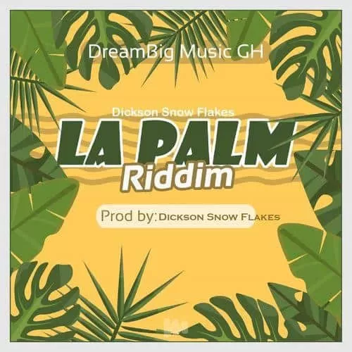 la palm riddim - dreambig music gh