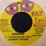Lady Pullover Riddim (2004) – Fat Eyes Records