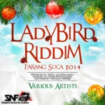 Ladybird Riddim Parang Soca – Simply Natural Family