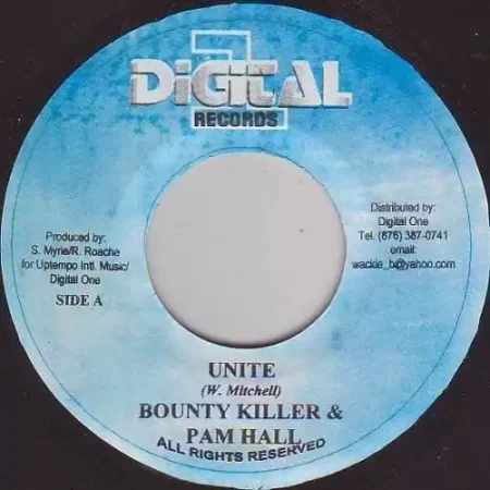 lame like dog riddim - digital one