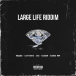 Large Life Riddim (2020) – Voolin Records