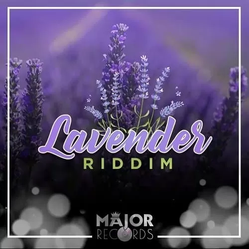 lavender riddim - major records