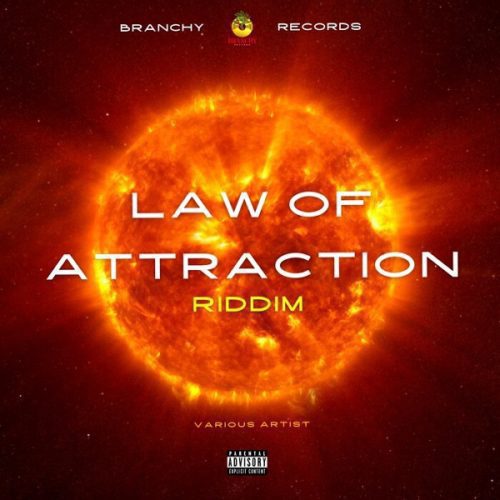 law of attraction riddim - branchy records