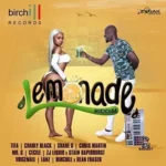 Lemonade Riddim (2018) – Birchill Records