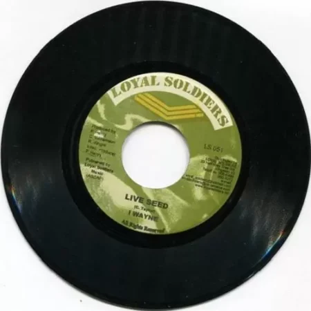Life Seed Riddim – Loyal Soldiers Productions life seed riddim - loyal soldiers productions