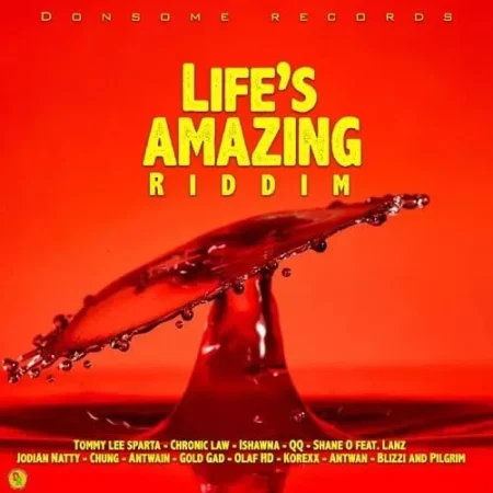 lifes amazing riddim - donsome records
