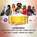Ligament Riddim – Multi-Talented Music
