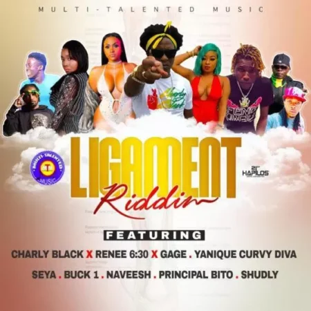 ligament riddim - multi-talented music