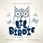 Lil Birdie Riddim – Island Shak Entertainment
