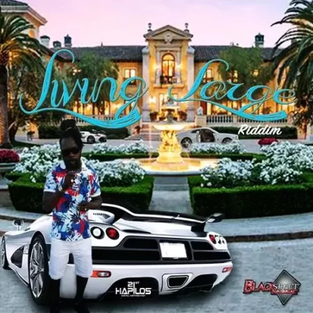 Living Large Riddim - Blaqstreet Music