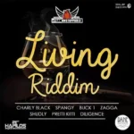Living Riddim – Dane Raychords