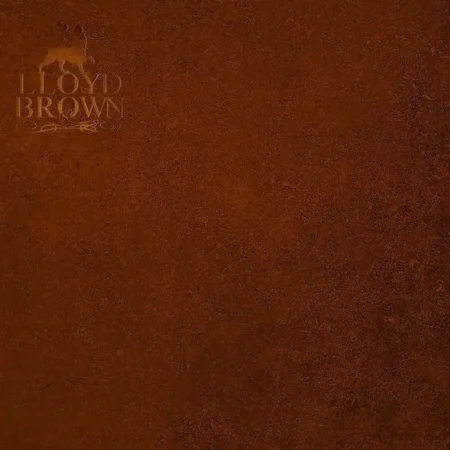 lloyd brown - the brown album