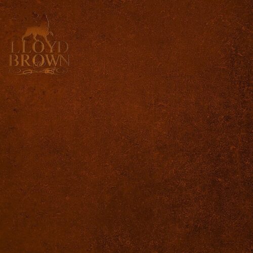 lloyd-brown-the-brown-album
