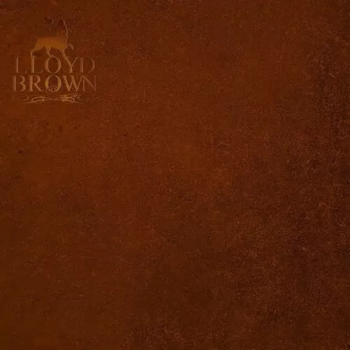 lloyd brown - the brown album