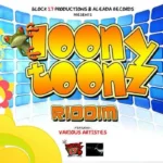 Loony Toonz Riddim – Block 17 Productions/Aleada