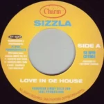 Love In De House Riddim – Charm 804
