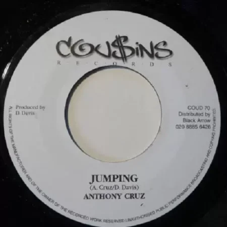 love riddim - cousins records