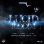 Lucid Riddim – Big Zim Records