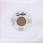 Mad Guitar Riddim – Don Corleon Records