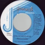 Magic Moment Riddim (1995) – Jammys Records
