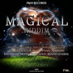 Magical Riddim (2008) – Pandm Records