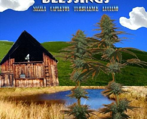 Makonen Riddim