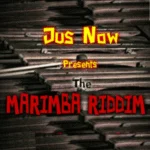 Marimba Riddim (2013) – Jus Now Production