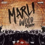 Marli Wood Riddim – Razor Bumps Entertainment