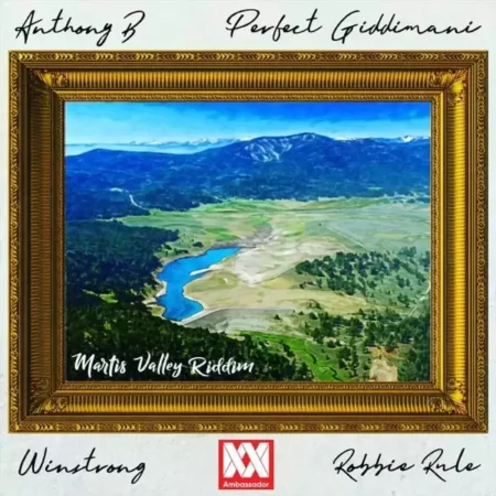 martis valley riddim - ambassador musik