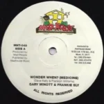 Medicine Riddim (1997) – Mad House Music