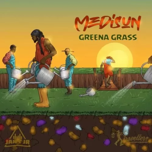 medisun - grenna grass