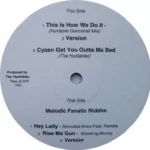 Melodic Fanatic Riddim – Not On Label Records