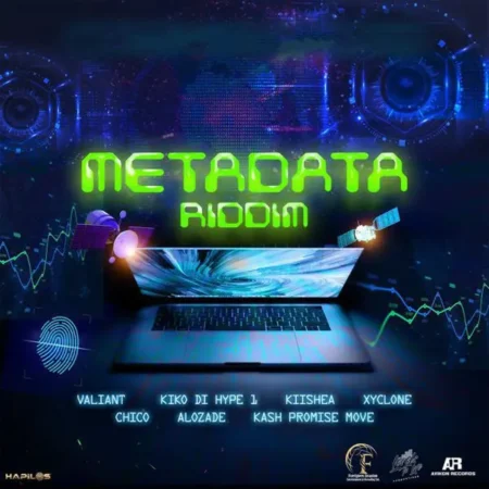 Metadata Riddim - Levels To Life Productions