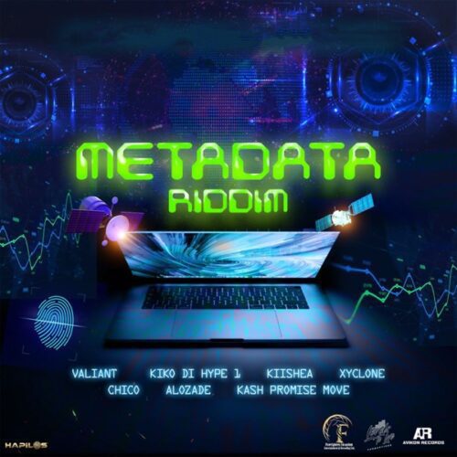 metadata-riddim-levels-to-life-productions
