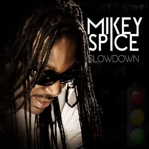 mikey spice - slow down album