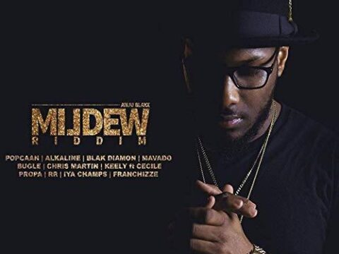 Mildew Riddim
