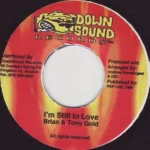 Modern Girl Riddim (1999) – Dance Sound Records