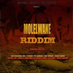 Molelwane Riddim – Ragga Damdee
