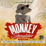 Monkey Shoulder Riddim – Train Line Records