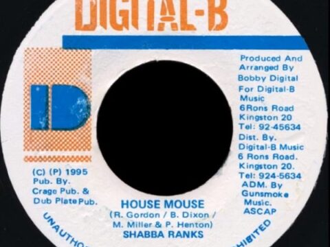 Mouse Trap Riddim